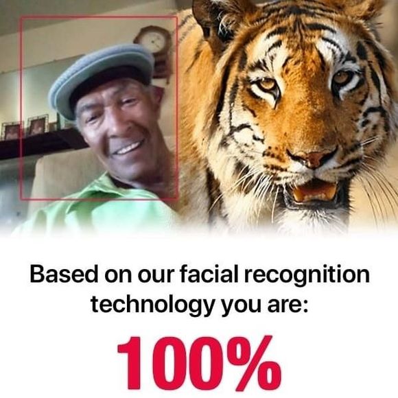 Meet your Posher, Nathan - Picture 1 of 1